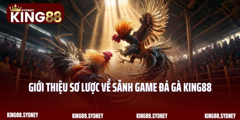 Giới thiệu sơ lược về sảnh game đá gà King88 siêu nổi tiếng 