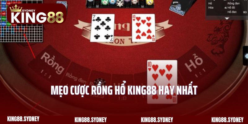 Mẹo cược Rồng Hổ King88 hay nhất cho người chơi mới