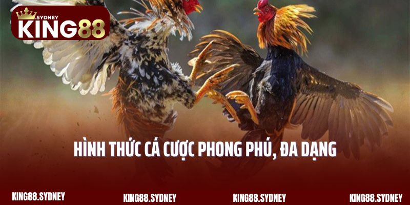 Hình thức cá cược phong phú, đa dạng tại WS168 đá gà King88