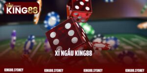 Xí Ngầu King88 - Trò Chơi Đổi Thưởng May Mắn Và Hấp Dẫn
