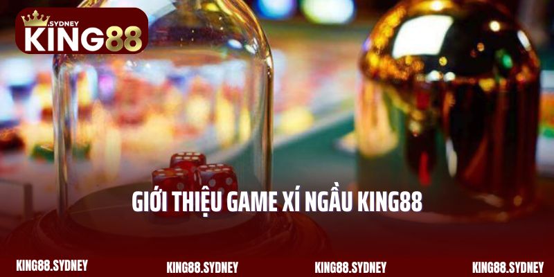 Giới thiệu game Xí Ngầu King88 hấp dẫn và lôi cuốn