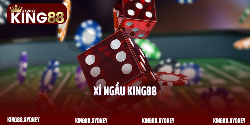 Xí Ngầu King88 - Trò Chơi Đổi Thưởng May Mắn Và Hấp Dẫn